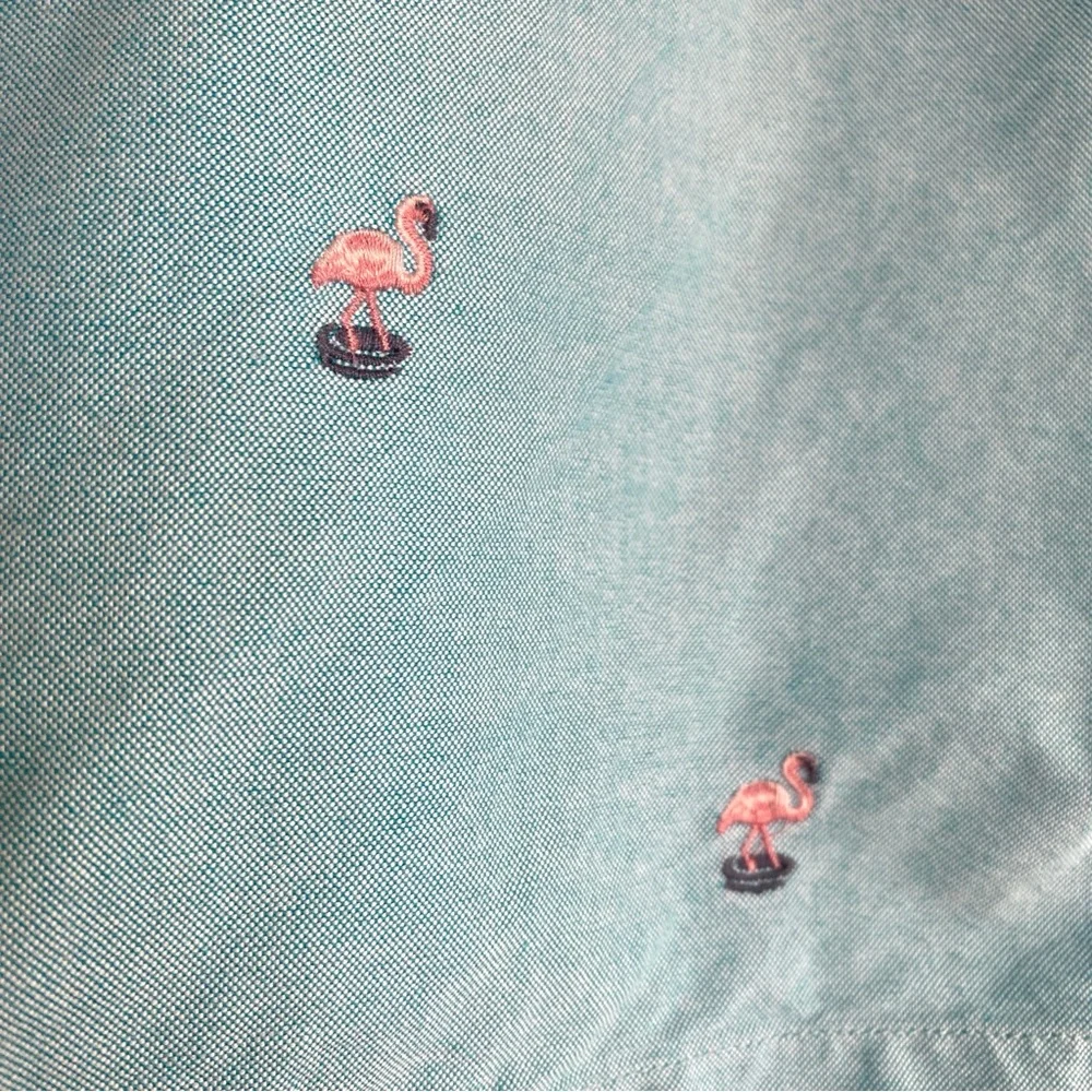 J. Crew Men’s Shorts Chino Flamingo Light Blue Turquoise Embroidered 40 Preppy